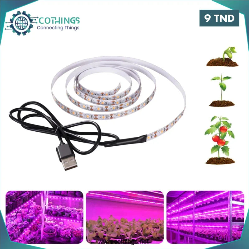 Acheter 1M Ruban LED lumière à spectre complet pour plante USB DC 5V 60LED/m Non étanche en Tunisie -  Disponible au meilleur prix sur CoThings