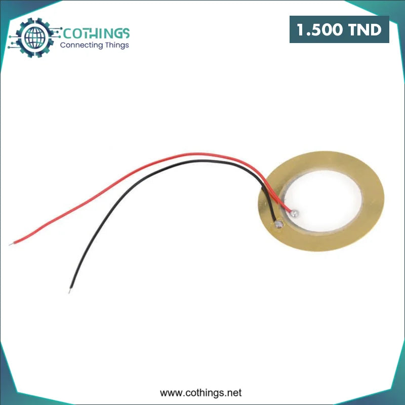 Acheter Buzzer électronique piezo 20 mm avec fils en Tunisie -  Disponible au meilleur prix sur CoThings