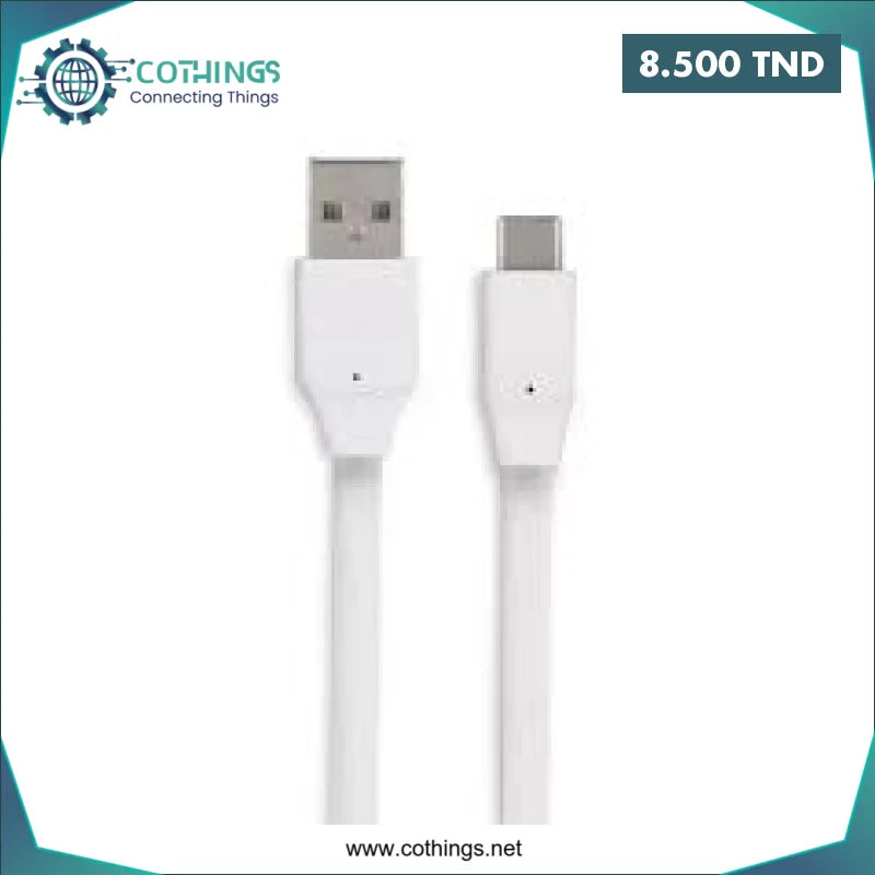 Acheter Cable USB Type-C 1M en Tunisie -  Disponible au meilleur prix sur CoThings