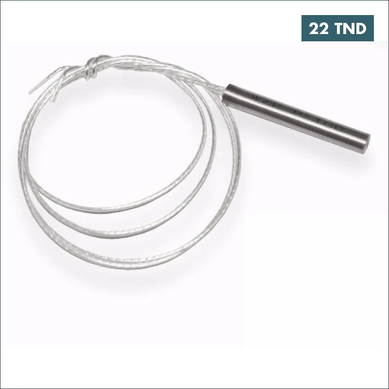 Acheter Capteur de température à sonde PT100 - WZP 2 FILS/1 METRES en Tunisie -  Disponible au meilleur prix sur CoThings