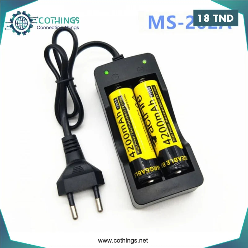 Acheter Chargeur Batterie 18650 - Double en Tunisie -  Disponible au meilleur prix sur CoThings