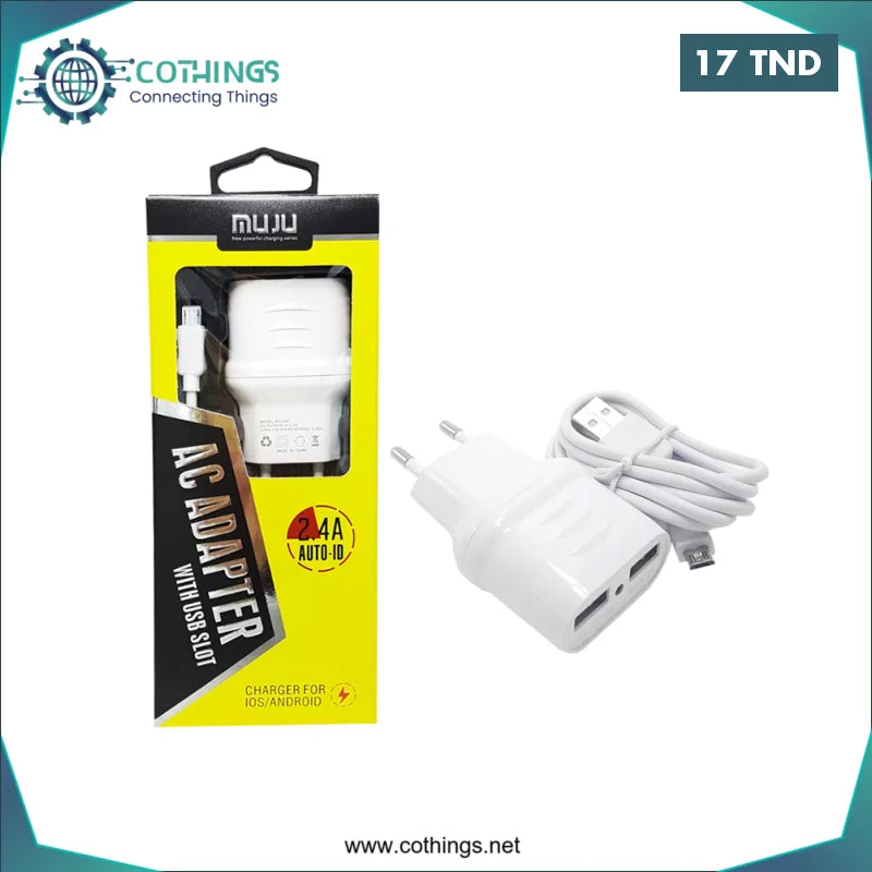 Acheter Adaptateur Double USB + Câble Type-C en Tunisie -  Disponible au meilleur prix sur CoThings