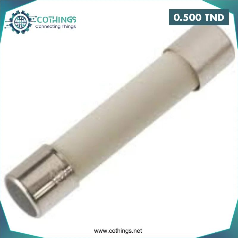 Acheter Fusibles Rapides En Céramique 6x30mm 250V 0.5A en Tunisie -  Disponible au meilleur prix sur CoThings