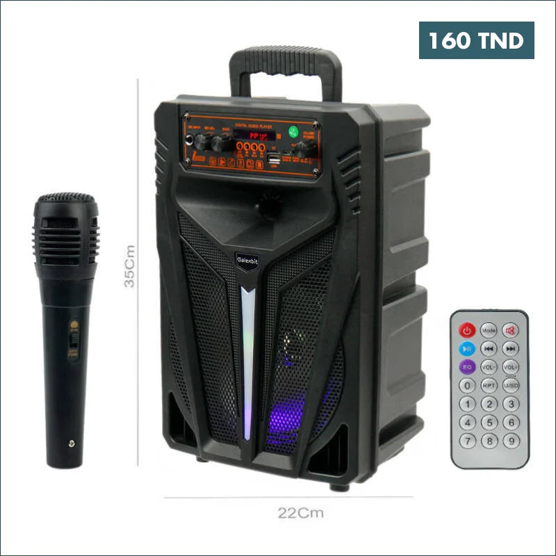 Acheter Haut Parleur Bluetooth TTD-8244 en Tunisie -  Disponible au meilleur prix sur CoThings
