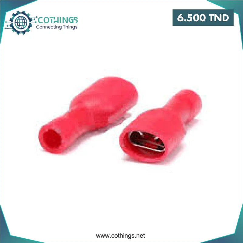 Acheter Jeu de 100 pcs Borne à sertir électrique isolée femelle FDD5-250 en Tunisie -  Disponible au meilleur prix sur CoThings