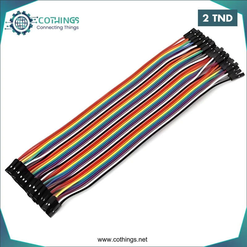 Acheter jeux de 10 fils de connexion femelle femelle 20cm pour arduino en Tunisie -  Disponible au meilleur prix sur CoThings