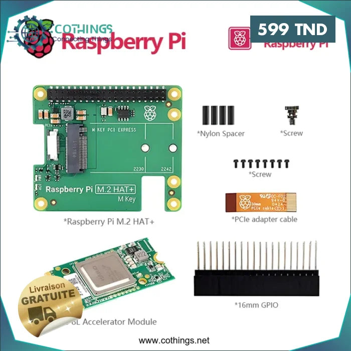 Acheter Kit d'intelligence artificielle Raspberry Pi 5 en Tunisie -  Disponible au meilleur prix sur CoThings