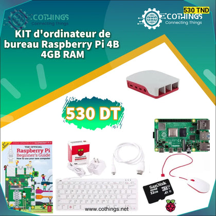 Kit Raspberry ordinateur de bureau Pi 4 - Modèle B 4GB RAM Domotique