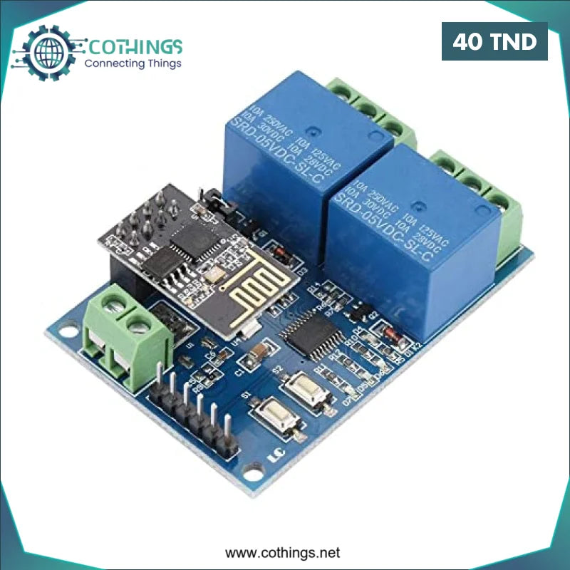 Acheter Module de 2 relais WiFi DC 5V ESP8266 commutateur télécommandé pour ESP01 en Tunisie -  Disponible au meilleur prix sur CoThings