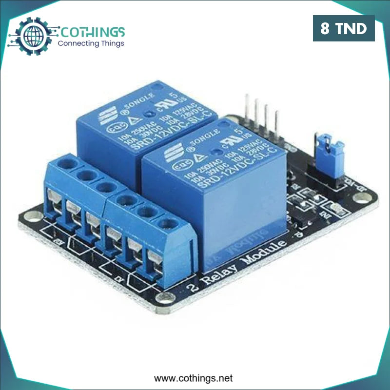 Acheter Module de relais 2 canaux (avec couplage lumière) 12V en Tunisie -  Disponible au meilleur prix sur CoThings