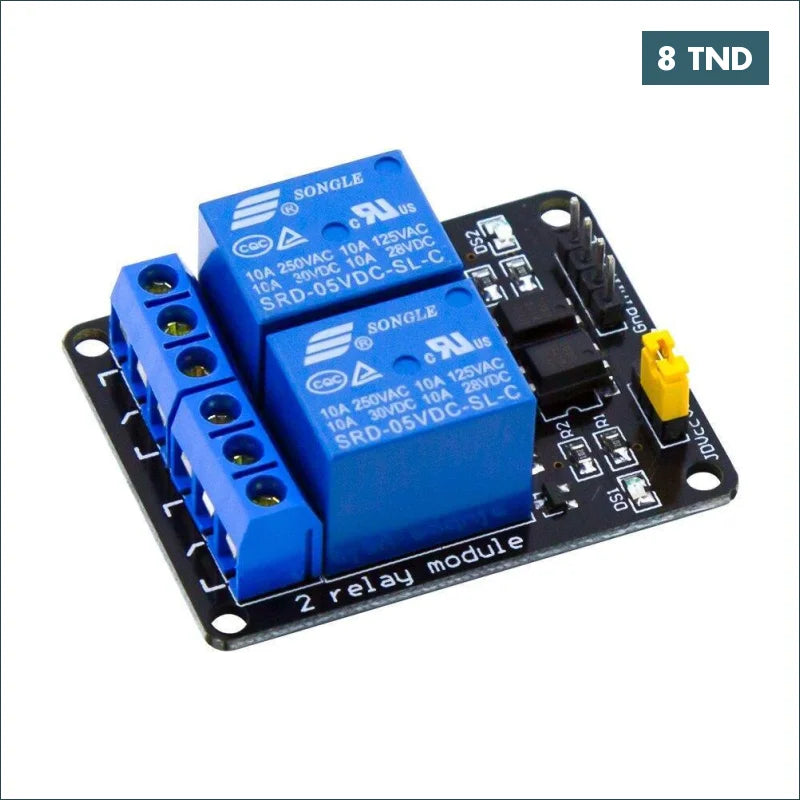 Acheter Module de relais 2 canaux (avec couplage lumière) 24 V en Tunisie -  Disponible au meilleur prix sur CoThings
