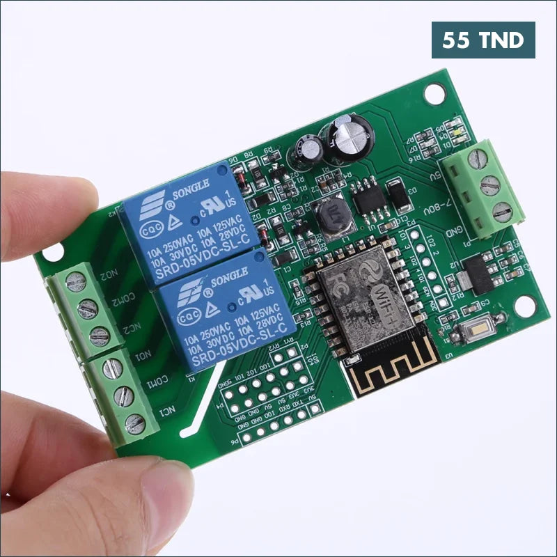 Acheter Module de relais WiFi 2 canaux, DC 5V ESP8266 en Tunisie -  Disponible au meilleur prix sur CoThings