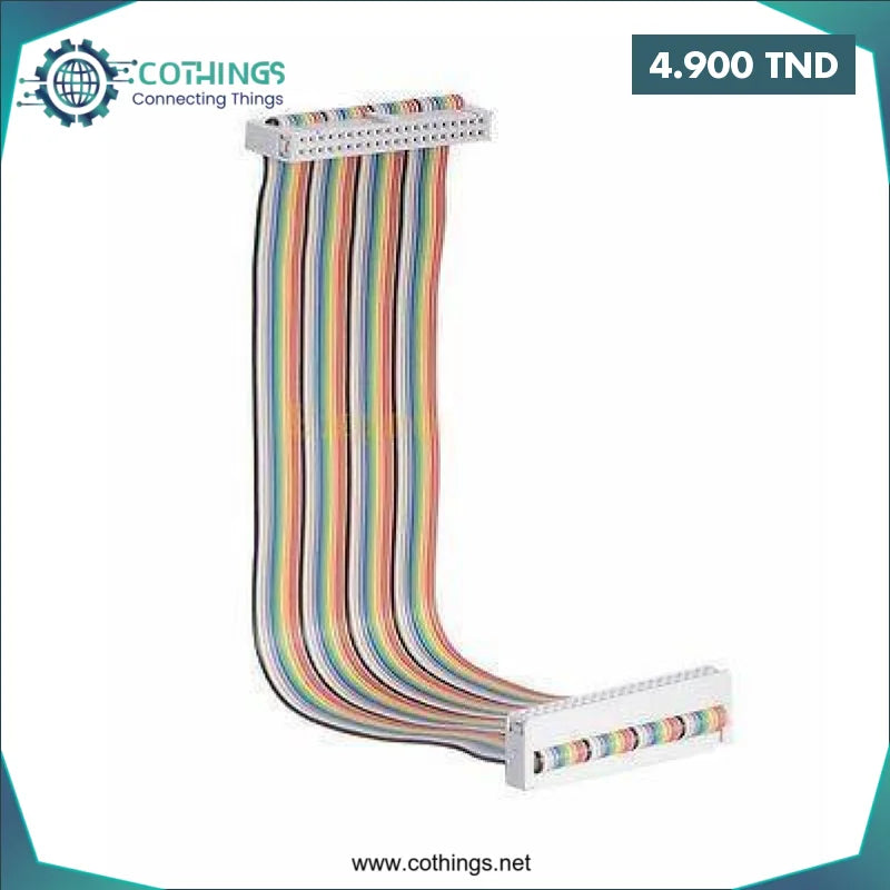 Acheter NAPPE D EXTENSION GPIO 40 broches 20 cm en Tunisie -  Disponible au meilleur prix sur CoThings