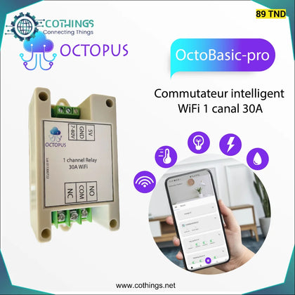 Octopus Basic Pro 30A commutateur WiFi intelligent 1 canal