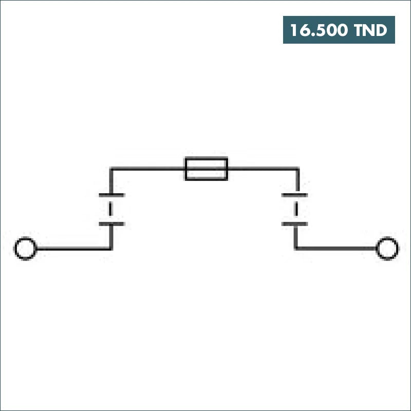 Acheter Porte-Fusible Weidmüller WSI 25/1 10x38 1KV en Tunisie -  Disponible au meilleur prix sur CoThings