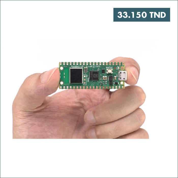 Acheter Raspberry Pi Pico W Microcontroller Development Board (avec WiFi) en Tunisie -  Disponible au meilleur prix sur CoThings