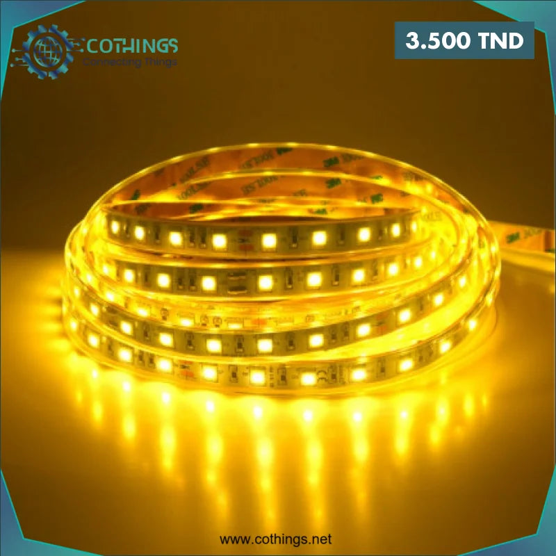 Acheter Ruban LED 3Ship Jaune 220V (1 Metre) en Tunisie -  Disponible au meilleur prix sur CoThings