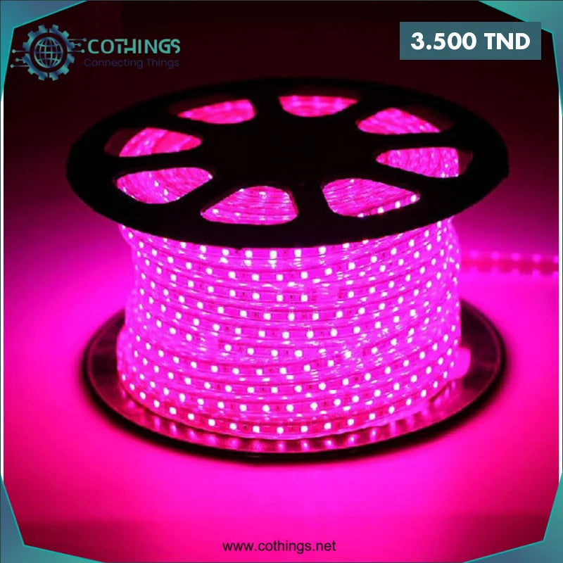Acheter Ruban LED 3Ship Rose 220V (1 Metre) en Tunisie -  Disponible au meilleur prix sur CoThings