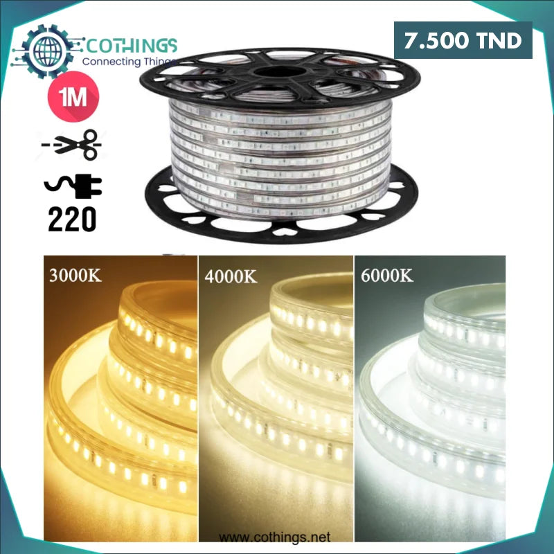 Acheter Ruban Led Adhesif 2835-220v 120 LED/m Blanc (chaud/neutre/froid) 3 en 1 avec mouvement (1M) en Tunisie -  Disponible au meilleur prix sur CoThings