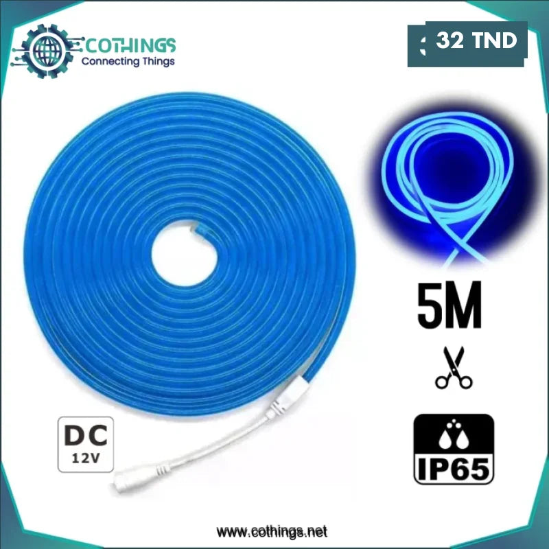 Acheter Ruban LED Néon Flexible 6mm etanche 12V Bleu 5M en Tunisie -  Disponible au meilleur prix sur CoThings