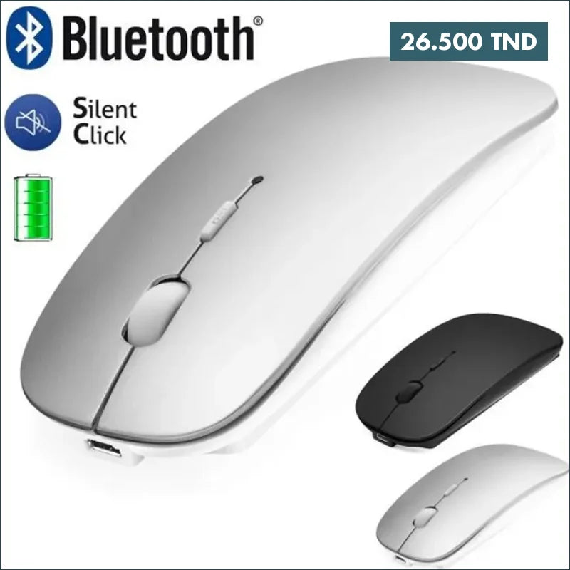 Acheter Souris Bluetooth, rechargeable sans fil, BT + 2,4 GHz, M01 en Tunisie -  Disponible au meilleur prix sur CoThings