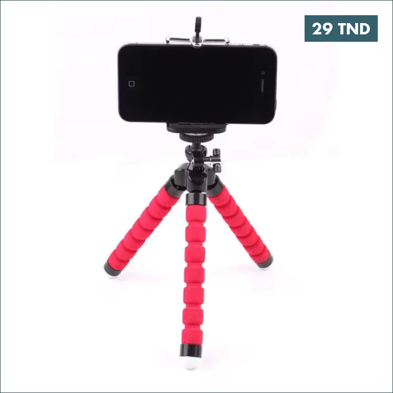Acheter Support Trépied octopus flexible pour SmartPhone et caméra Raspberry PI en Tunisie -  Disponible au meilleur prix sur CoThings