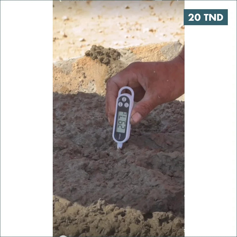 Acheter Thermomètre numérique TP300 (avec batterie) en Tunisie -  Disponible au meilleur prix sur CoThings