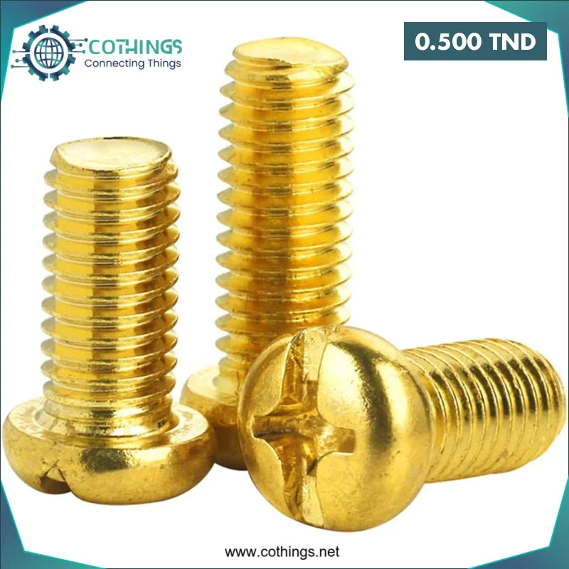 Acheter Vis à Tête Cylindrique Cruciforme en Laiton - M2,5x6mm en Tunisie -  Disponible au meilleur prix sur CoThings