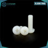 Acheter Vis en nylon blanc M3 * 12mm en Tunisie - Disponible au meilleur prix sur CoThings