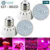 Acheter Ampoule horticole LED E27 spectre complet 80 LED — culture & hydroponie en Tunisie - Disponible au meilleur prix sur CoThings
