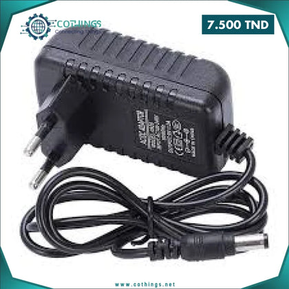Chargeur 12V 1A