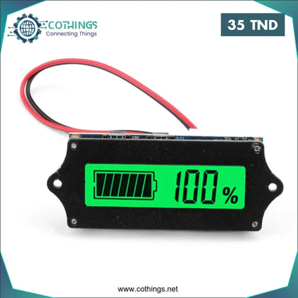 Détecteur de capacité de Batterie Lithium 12V/24V avec Coque