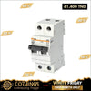 Acheter Disjoncteur bipolaire 32 A EP60 6 kA C en Tunisie - Disponible au meilleur prix sur CoThings