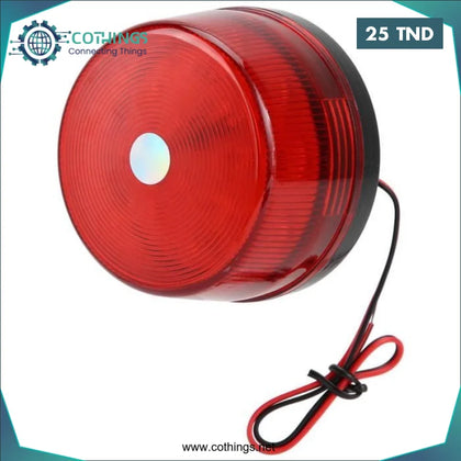 Gerofare Rouge - Domotique Tunisie