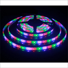 Kit Ruban LED RGB 3528 SMD Bande Flexible 5M / Rouleau 12V étanche