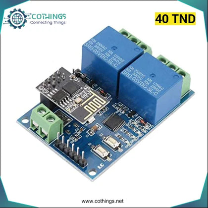 Module de 2 relais WiFi DC 5V ESP8266 commutateur télécommandé