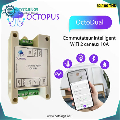 Octopus Dual commutateur WiFi intelligent 2 canaux 10A - Domotique