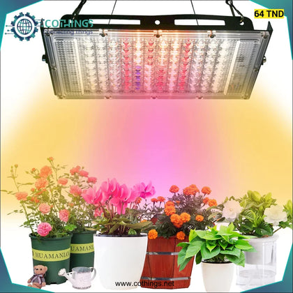 Projecteur LED de croissance des plantes à spectre complet 100W 220V