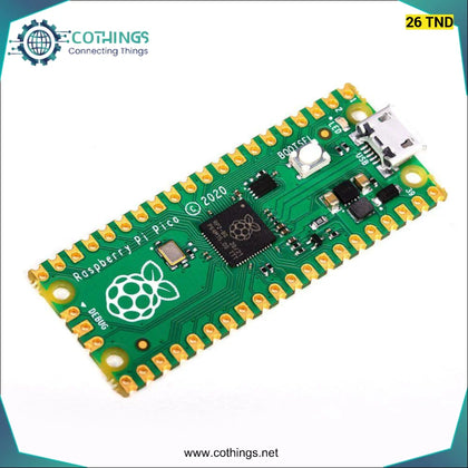 Raspberry Pi Pico Microcontroller Development Board - Domotique