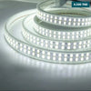 Acheter Ruban double Led 220v Blanc Chaud LED2835 240 Led par metre 220v 6500K en Tunisie - Disponible au meilleur prix sur CoThings