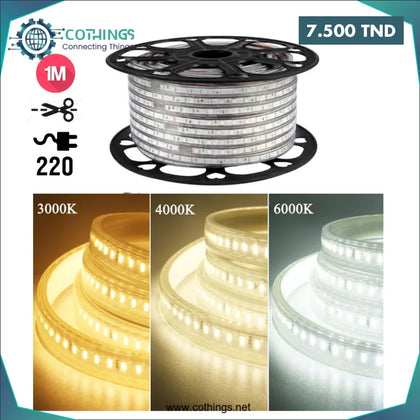 Ruban Led Adhesif 2835 3 Temps (1M) - Domotique Tunisie