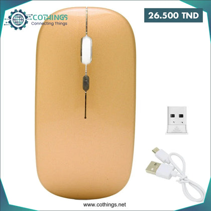 Souris Bluetooth rechargeable sans fil BT + 2,4 GHz M01 Domotique