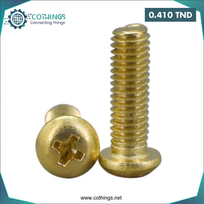 Vis à tête cylindrique cruciforme en laiton M3 x 12 mm - Domotique